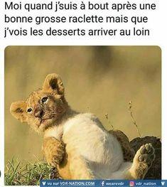231fcdfff616109e22f37781e946b63a.jpg