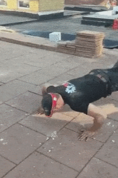 7cf7faeac07793bf1f528298fe441916.gif