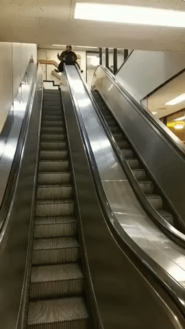 f69a4af42bf8d4b7ffd0f3542c074f0d.gif