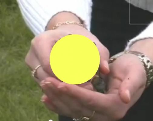 post-170-0-89004800-1337045915_thumb.jpg