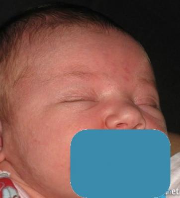 post-55-0-09812200-1416511396_thumb.jpg