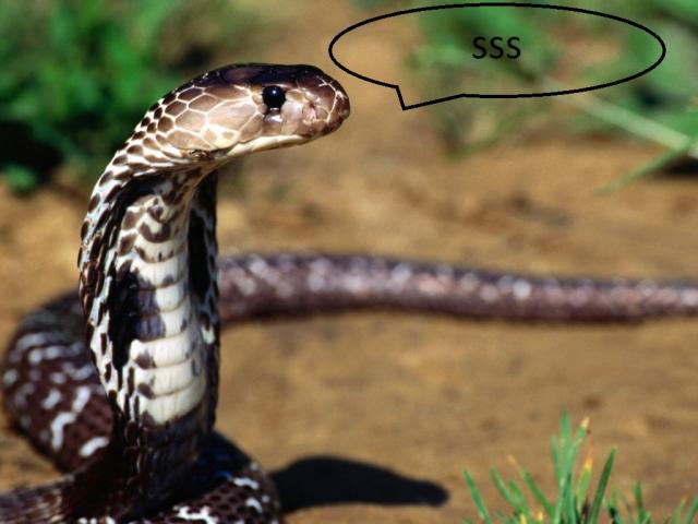 654.jpg