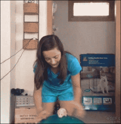 giphy.gif.d7aa729f9c7700eaadd4a65b95010eb2.gif