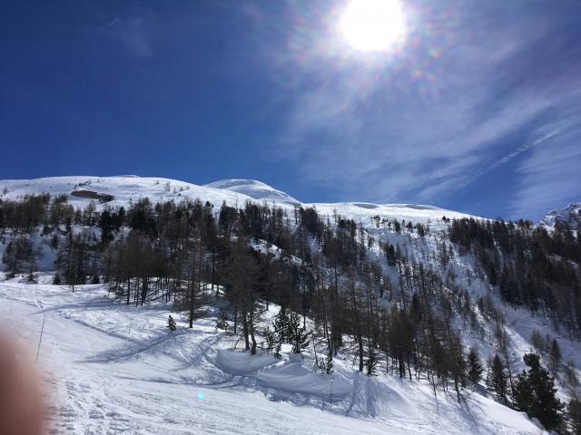 B40386E6-DD08-4239-91CA-661170F2D8F0.jpeg