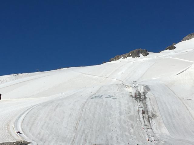 FE841B07-B532-4237-8C73-ED4A850E8B61.jpeg