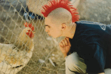 giphy.gif.978edb320f12fdde4c6146cbb1cd9cc8.gif