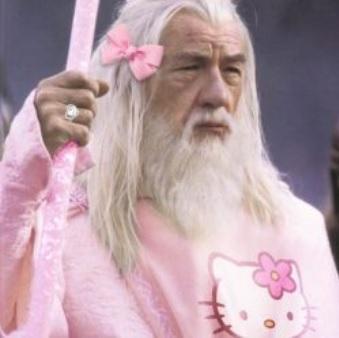 gandalf.jpg.2724d8d25961035eaa29e374b84c9263.jpg