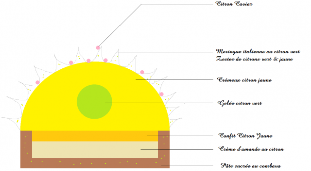 475476249_Tarteletteauxdeuxcitrons.thumb.png.28b03a1aa95d3ecf6952b4584e15cfe8.png