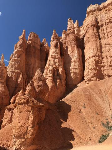 49EDA679-AC87-4600-AA3F-5644FDAE326F.jpeg