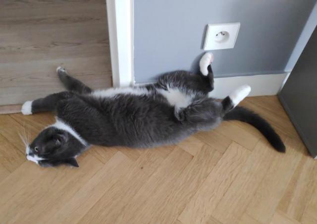 IMG-20190627-WA0009.jpeg