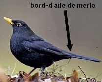 111.png.e1debeb08b7694e44bab29055fca7b2c.png