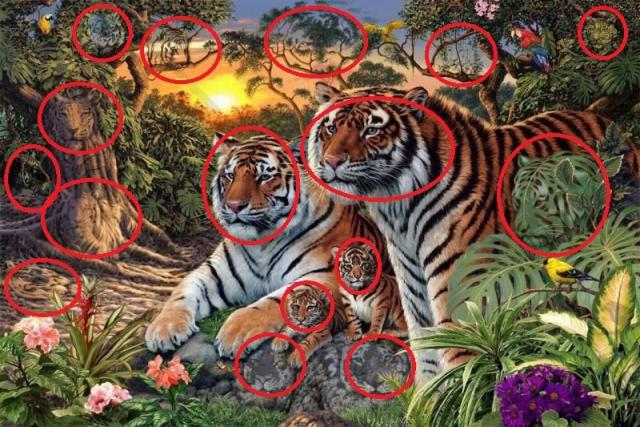 TIGRE.jpg.c8731ca055f06c38b6a421c1ff0671ae.thumb.jpg.9e7722088395538eb3a707c6057fcf1a.jpg