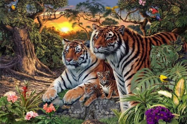 TIGRE.thumb.jpg.7221d527bbd2b68d6d4eb3a182b1df48.jpg