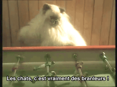 tumblr_inline_nw9s1gyo1u1s9x8us_500.gif.3c4946f590d5de56fbc3b53e12188b3d.gif