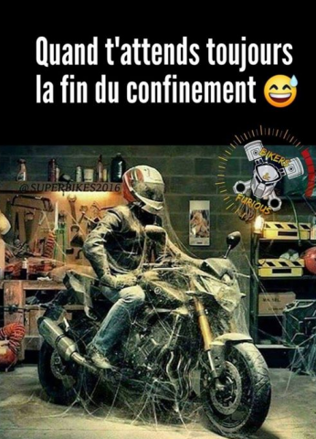 image.thumb.png.c7c60ea6edad0955de10ff9155b9c790.png