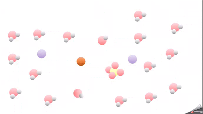110401619_RactifsProduitsetEspcespectatrice.thumb.gif.0d569de04033f51e1eb4e5c359a1f822.gif