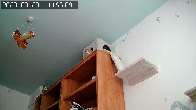 42733021_2079548_2020-09-2911_56_14.jpg.c2da50f759a145a002617c0ec2af0437.jpg
