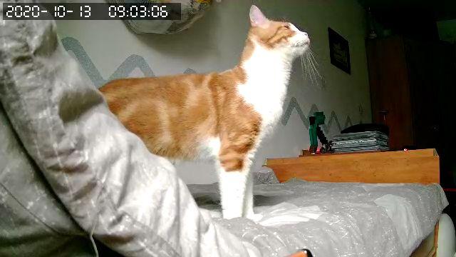 1807625790_2079548_2020-10-1309_03_04.jpg.aa6847dc3291371c61261930fac88b22.jpg