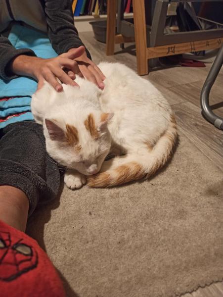 chat1.thumb.jpg.3492e06b350344cc1d789766bd8d0647.jpg