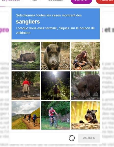 1622413023_captchaanimaliste.thumb.jpg.8ebfc6591ca4e2378003b650d474fea6.jpg