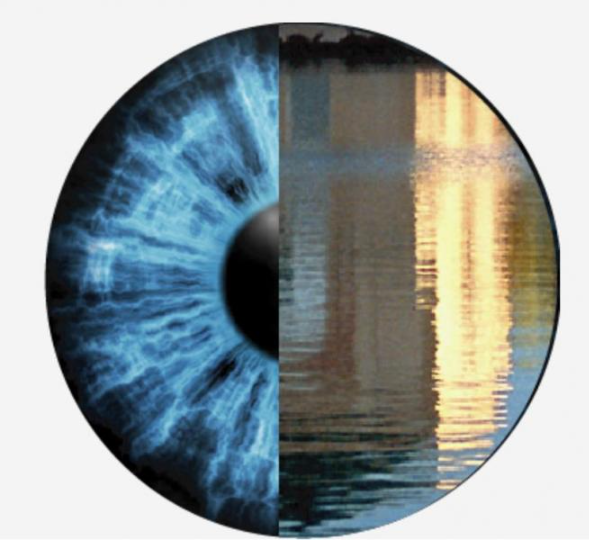 image.png.c614621a692ed1a7d7c0a20cd931c672.png