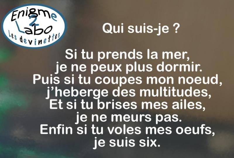 Dev - 8 - qui suis-je - b.jpg