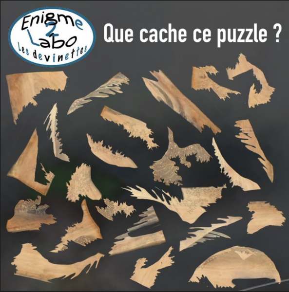 puzzle 2.PNG