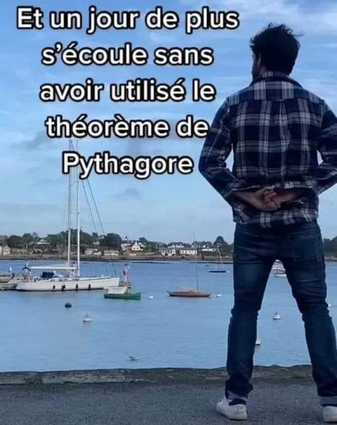 pythagore.thumb.jpg.1787ef3604faf82179069ed4c93b4527.jpg