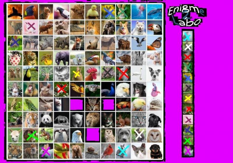 Enigme_34_-_LV2_-_Captcha.jpg.d1f2946d6d8029a565353629ab211d2e.jpg