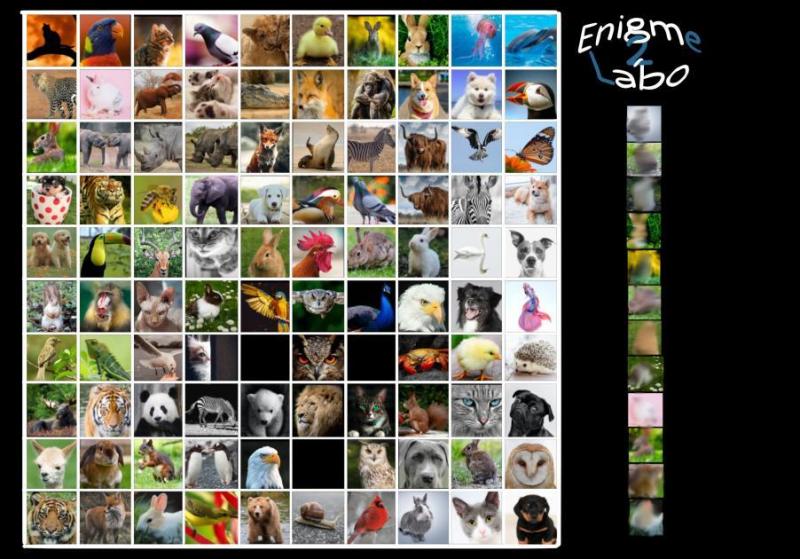 Enigme_34_-_LV2_-_Captcha.jpg