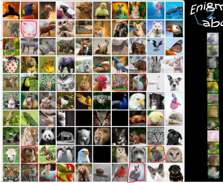 image.thumb.png.0115909a70453fafc113394622254930.png