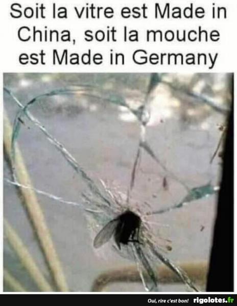 mouche.jpg