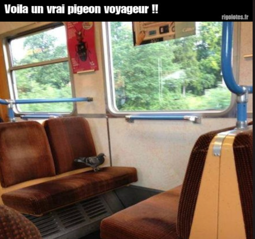 image.png.f34f560706c15a609795e720f15866d0.png