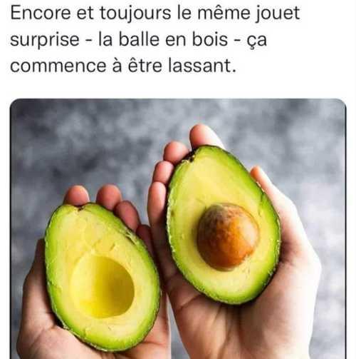 avocat.jpg