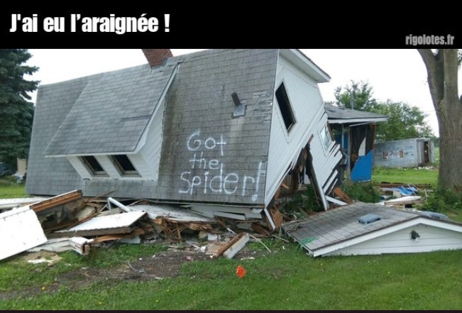 image.png.b0286c7e4efc2accbfbaf82cb4bb8bd9.png