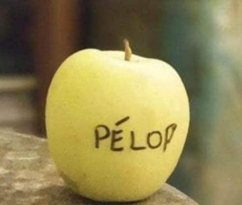 pomme.jpg.bf42ad79519b47d5bf0e9ed3764ccc6e.jpg