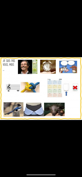 IMG_4041.png
