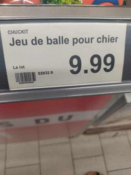 chien.thumb.jpg.9fc8cc8d41c62a5b75e33b446c764004.jpg