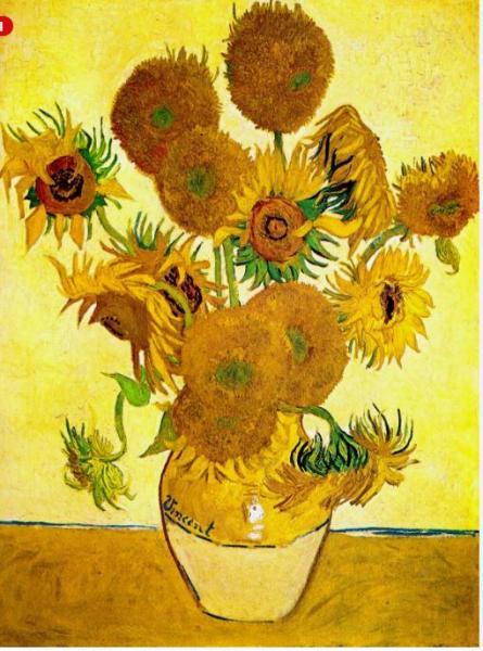 tournesols.JPG